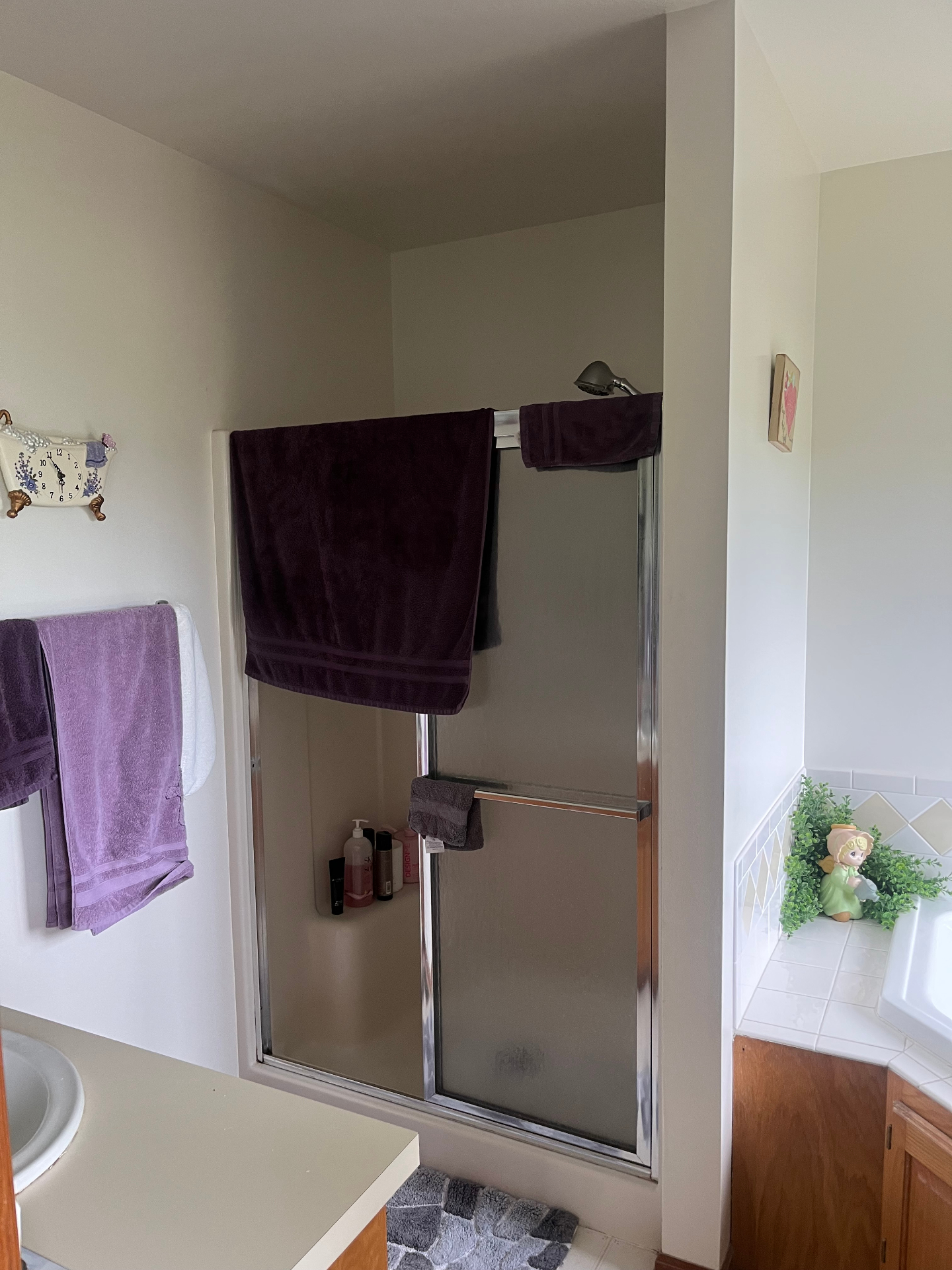 From Tight to Tranquil: The Brooks Family Spa Shower Transformation. Before