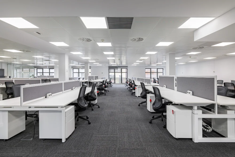 Open Office Renovation